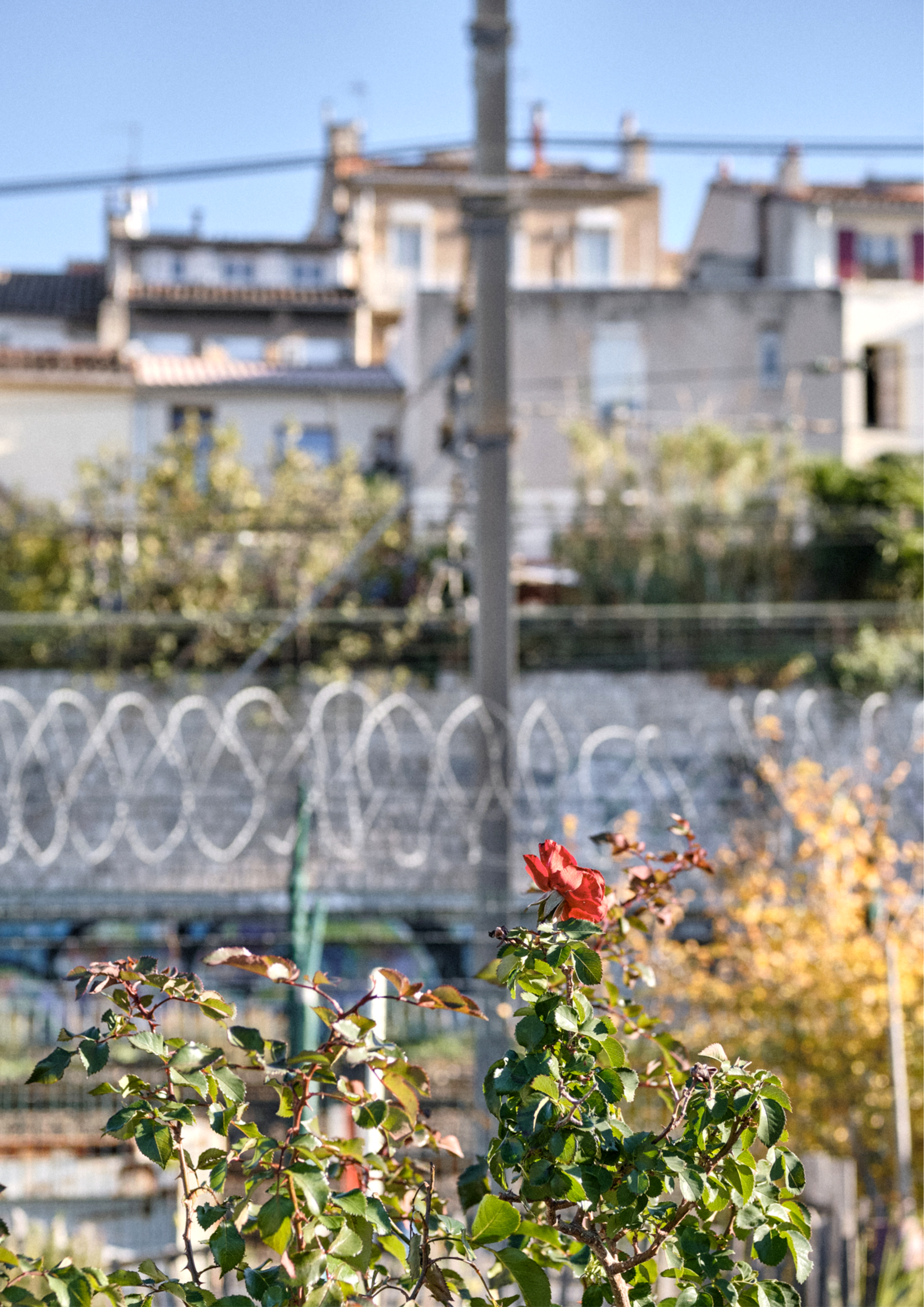 La_Friche_la_Belle_de_Mai_partenaire