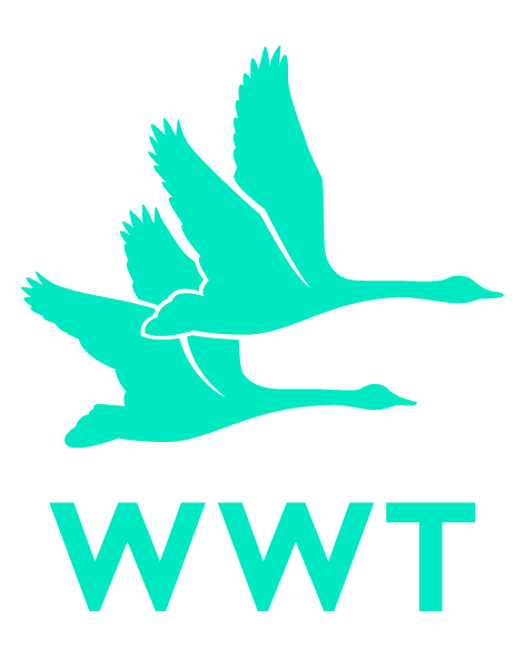 logo wwt